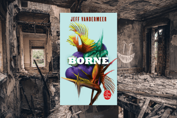 Chronique-borne-jeff-vandermeer